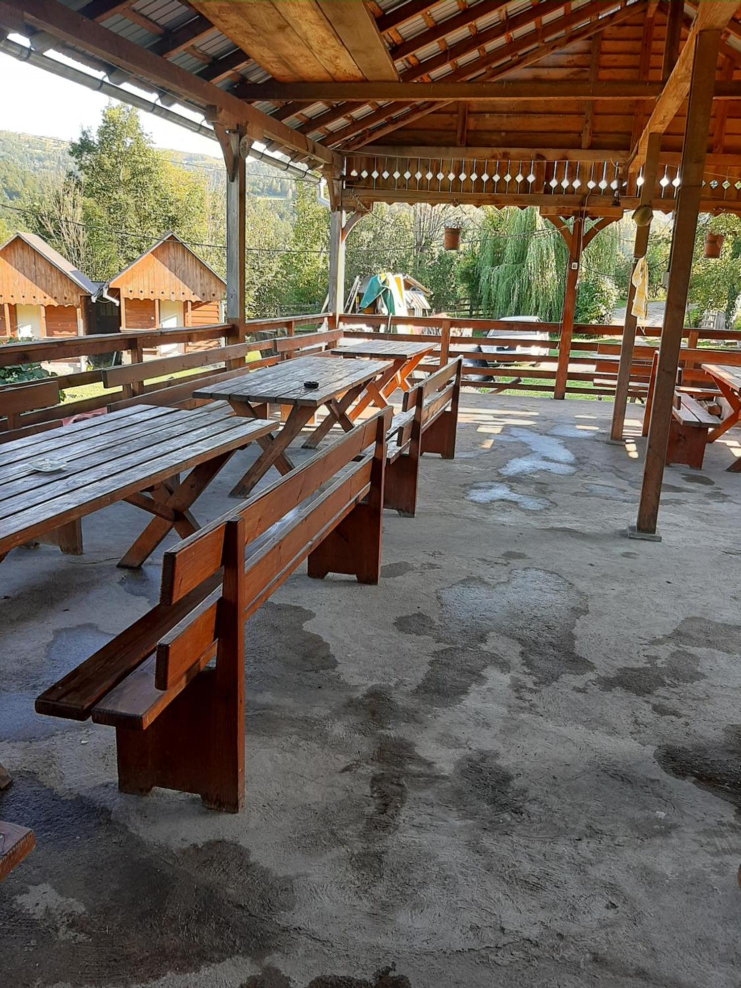 Pensiunea Codru Salciua de Jos Ngoại thất bức ảnh